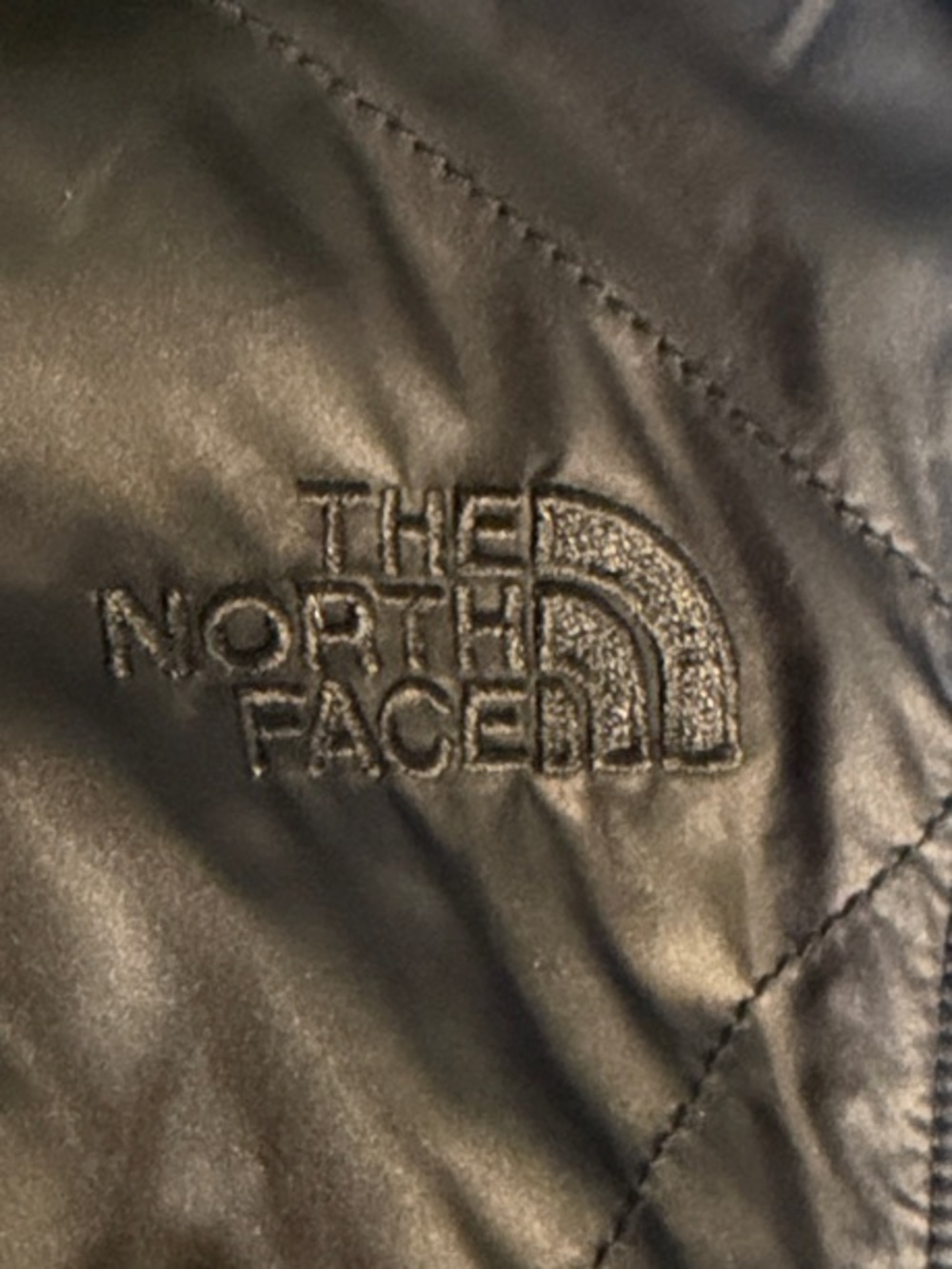 The North Face Kids Black Puffer Jacket with Lime Trim